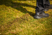 CEDRUS WR01-H SPRELINER TREE TILLER AREATOR 2-in-1 6 HP HONDA GP200 - EWIMAX - OFFICIAL DISTRIBUTOR - AUTHORIZED DEALER CEDRUS