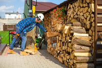 CEDRUS LS10 ŁUPARKA DO DREWNA HYDRAULICZNA ELEKTRYCZNA CEDRUS CEDLS10V PIONOWA RĘBAK NACISK 22 TONY - EWIMAX - OFICJALNY DYSTRYBUTOR - AUTORYZOWANY DEALER CEDRUS