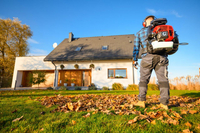 CEDRUS DM05 PRO PROFESSIONAL GARDEN LEAF BLOWER VACUUM CLEANER - OFFICIAL DISTRIBUTOR - AUTHORIZED CEDRUS DEALER