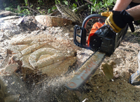 DAEWOO DACS 5218XT PETROL CHAINSAW CHAINSAW POWER 2,58KM - OFFICIAL DISTRIBUTOR - AUTHORIZED DAEWOO DEALER