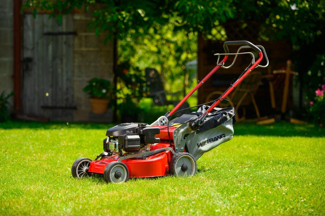 KAWASAKI WEIBANG WB536SK V 3in1 MOTORIZED KAWASAKI FJ180V SPRING MOWER WITH 53cm / 5.5HP DRIVE - EWIMAX - OFFICIAL DISTRIBUTOR - AUTHORIZED DEALER CEDRUS