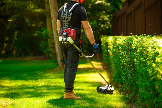 CEDRUS WK330 PETROL GRASS TRIMMER MOWER 1.2 KM EWIMAX-OFFICIAL DISTRIBUTOR - AUTHORIZED CEDRUS DEALER