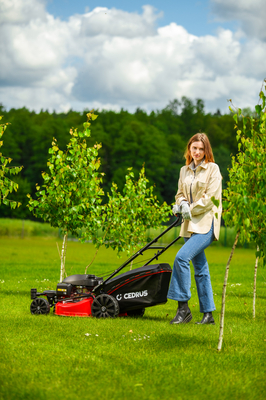 CEDRUS KS51S-H-ZT HONDA 5in1 SPRINELOVÁ SEKAČKA S POHONEM 51cm / 4,6 HP HONDA GCV170 - EWIMAX - Oficialní distributor - autorizovaný prodejce CEDRUS