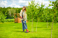 Cedrus Cordless Trimmer CEDST280LI CEDST280LI