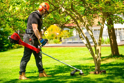 CEDRUS WK520X PETROL GRASS TRIMMER MOWER 2 KM EWIMAX - OFFICIAL DISTRIBUTOR - AUTHORIZED CEDRUS DEALER