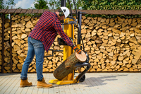 CEDRUS LS08 ŁUPARKA DO DREWNA HYDRAULICZNA ELEKTRYCZNA CEDRUS LS08V PIONOWA RĘBAK NACISK 11 TON CEDLS08V - EWIMAX - OFICJALNY DYSTRYBUTOR - AUTORYZOWANY DEALER CEDRUS