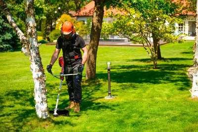 CEDRUS WK430X PETROL GRASS TRIMMER MOWER 1.8 KM EWIMAX - OFFICIAL DISTRIBUTOR - AUTHORIZED CEDRUS DEALER