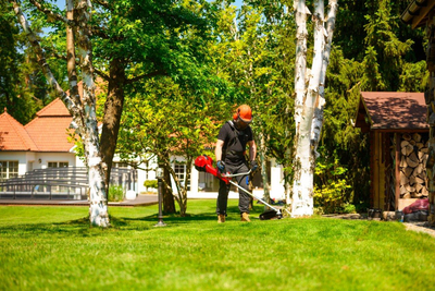 CEDRUS WK430X KOSA SPALINOWA DO TRAWY PODKASZARKA WYKASZARKA 1.8 KM EWIMAX - OFICJALNY DYSTRYBUTOR - AUTORYZOWANY DEALER CEDRUS