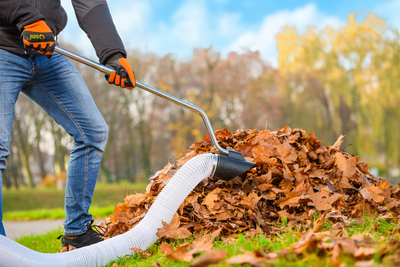 CEDRUS LV58 S PROFESSIONAL CLEANER + 4in1 SPRINEL LEAF VERTICULATOR 4in1 GARDEN DRIVE ROAD DRIVER 2in1 LV58S - OFFICIAL DISTRIBUTOR - AUTHORIZED DEALER CEDRUS