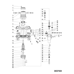 STATOR DEDRA