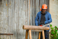 CEDRUS PS50-18T PETROL CHAIN SAW OREGON 3 KM - EWIMAX - OFFICIAL DISTRIBUTOR - AUTHORIZED CEDRUS DEALER