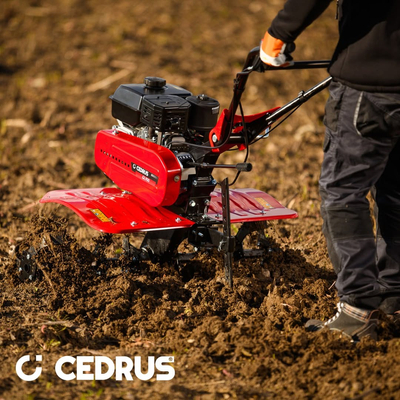 CEDRUS GL900 SPRINAL PLANT-GROWNER 2 RUNNER / 5.5 HP / 80cm to 100cm Weima WM168FB/P CEDRUSGL900 GL900 hgs900- EWIMAX - OFFICIAL DISTRIBUTOR - AUTHORIZED DEALER CEDRUS