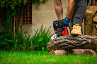 CEDRUS PS50-18T PETROL CHAIN SAW OREGON 3 KM - EWIMAX - OFFICIAL DISTRIBUTOR - AUTHORIZED CEDRUS DEALER