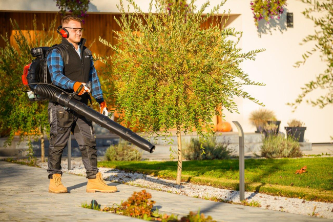 CEDRUS DM05 PRO PROFESSIONAL GARDEN LEAF BLOWER VACUUM CLEANER - OFFICIAL DISTRIBUTOR - AUTHORIZED CEDRUS DEALER
