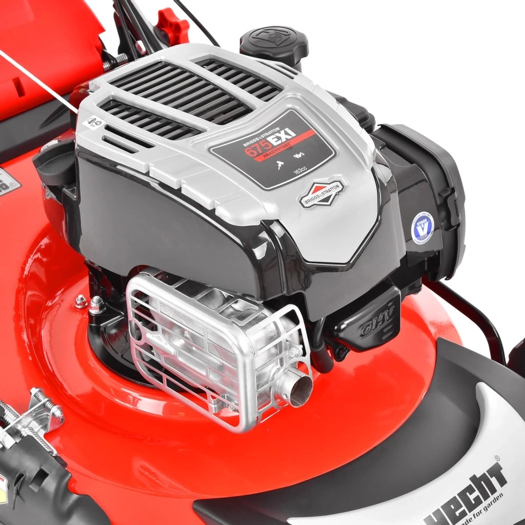 Briggs and 2025 stratton 163cc engine