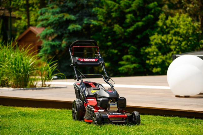CEDRUS KS53S-H ALUMINIUM MOWER WITH HONDA GCV200 5in1 53cm / 4.1 HP - EWIMAX - OFFICIAL DISTRIBUTOR - AUTHORIZED DEALER CEDRUS