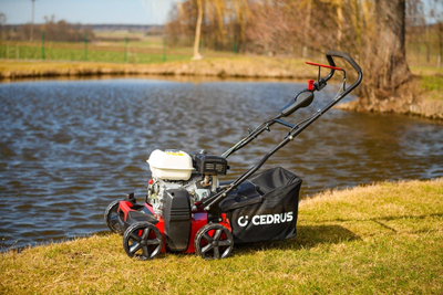 CEDRUS WR01-H SPRELINÁRNÍ KŘOVINOŘEZ 2v1 6 HP HONDA GP200 - EWIMAX - OFICIÁLNÍ DISTRIBUTOR - AUTORIZOVANÝ PRODEJCE CEDRUS