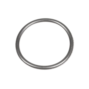 Oil cap gasket Cedrus cordless chainsaw CHS250Li 584102