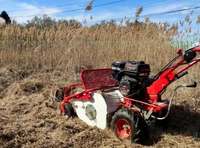 MASTERCUT SG0812A KARCZOWNICA KARCZOWNIK KOSIARKA BIJAKOWA DO TRAWY ZAROŚLI OGRODOWA SPALINOWA 60CM 8KM