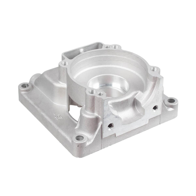 CEDRUS crankcase on the side of the magnet wheel OP04 sprayer 071187