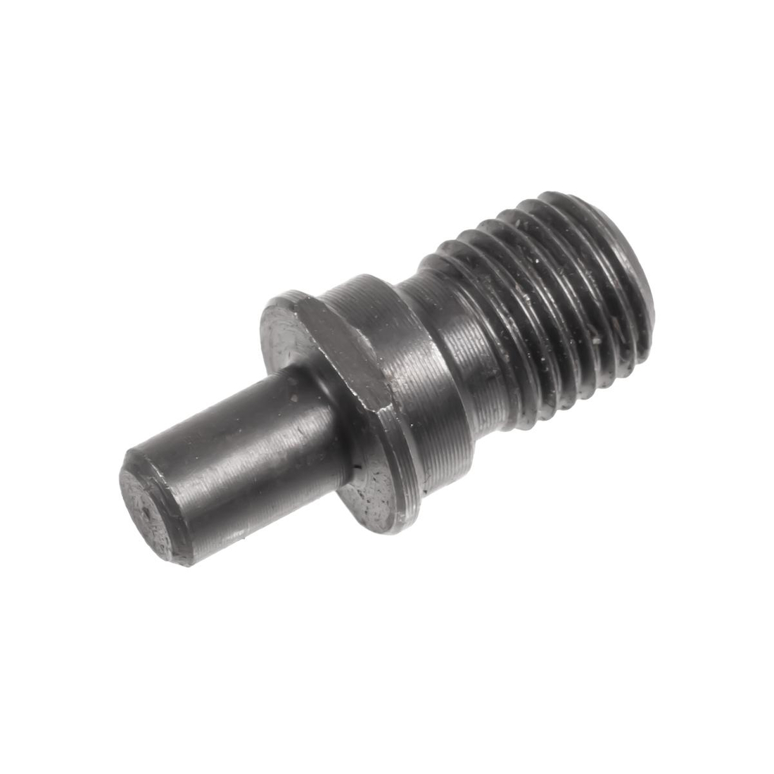 Kołek ustalający Cedrus świder SW02 131813 - widok produktu
