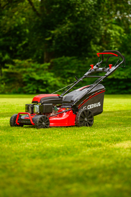 CEDRUS KS53S MOTORIZOVANÁ SEKÁČKA NA VÍNU 53cm / 5,7 HP - EWIMAX - OFICIÁLNÍ DISTRIBUTOR - AUTORIZOVANÝ PRODEJCE CEDRUS