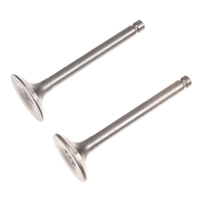 Loncin engine valves kpl. LC3000i LC165F-3H ORIGINAL PART 500550092-0001