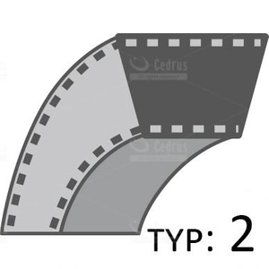 Belt Cedrus scarifier CEDWR01 CEDWR01-H /13x668/ 485017
