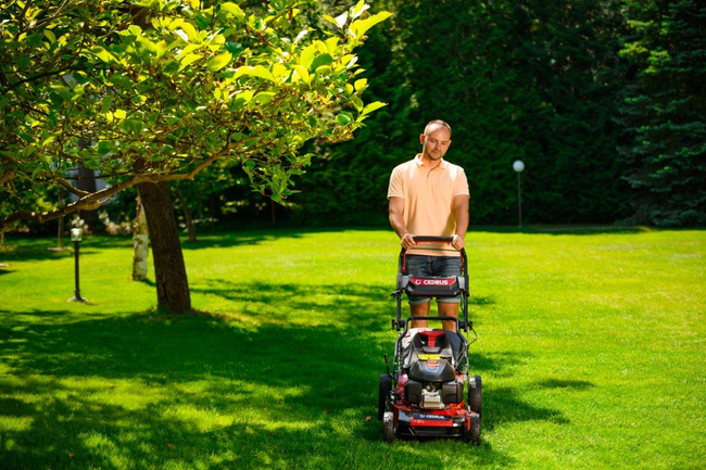 CEDRUS KS53S-H ALUMINIUM MOWER WITH HONDA GCV200 5in1 53cm / 4.1 HP - EWIMAX - OFFICIAL DISTRIBUTOR - AUTHORIZED DEALER CEDRUS