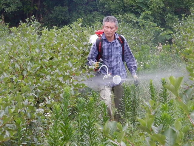 CIFARELLI M1200 DIESEL BACKPACK SPRAYER GARDEN ORCHARD SPRAYER 17L PROFESSIONAL - OFFICIAL DISTRIBUTOR - AUTHORIZED CIFARELLI DEALER