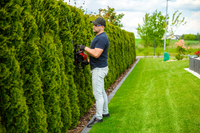 CEDRUS NZ02 SEKATOR SPRINEL SHARPS FOR CRIMINAL TREE AND TREE SHrubs SPRINEL HARVES 61cm - EWIMAX - OFFICIAL DISTRIBUTOR - AUTHORIZED DEALER CEDRUS