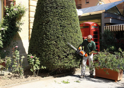 OLEO MAC HC 247 P HEDGE TRIMMER SHRUB SHEAR BUSHES PETROL POWER 1.0 KM PREMIUM CLASS 58099020E2 EWIMAX-OFFICIAL DISTRIBUTOR - AUTHORIZED OLEO-MAC DEALER