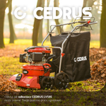 CEDRUS LV58 S PROFESJONALNY ODKURZACZ + WERTYKULATOR SPALINOWY DO LIŚCI 4w1 OGRODOWY DMUCHAWA NA KOŁACH JEZDNY Z NAPĘDEM 2w1 LV58S - OFICJALNY DYSTRYBUTOR - AUTORYZOWANY DEALER CEDRUS