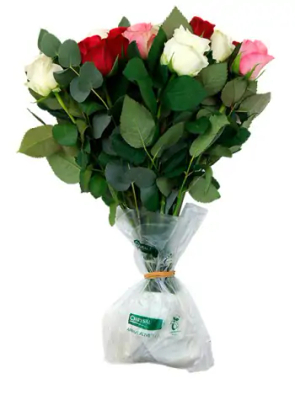 CHRYSAL ARRIVE ALIVE ECO - CUT FLOWER TRANSPORT KIT OO-POKaa