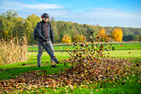 CEDRUS DM05 PRO PROFESSIONAL GARDEN LEAF BLOWER VACUUM CLEANER - OFFICIAL DISTRIBUTOR - AUTHORIZED CEDRUS DEALER