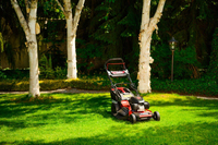 CEDRUS KS53S-H ALUMINIUM MOWER WITH HONDA GCV200 5in1 53cm / 4.1 HP - EWIMAX - OFFICIAL DISTRIBUTOR - AUTHORIZED DEALER CEDRUS