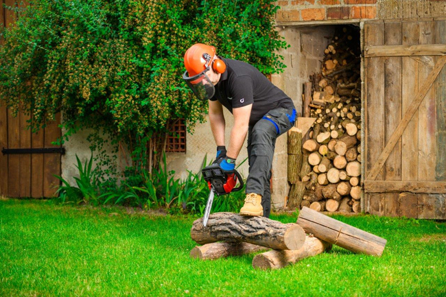 CEDRUS PS40-16T PETROL CHAIN SAW OREGON / WALBRO 2 KM - EWIMAX - OFFICIAL DISTRIBUTOR - AUTHORIZED CEDRUS DEALER