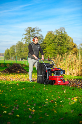 CEDRUS LV58 S PROFESSIONAL CLEANER + 4in1 SPRINEL LEAF VERTICULATOR 4in1 GARDEN DRIVE ROAD DRIVER 2in1 LV58S - OFFICIAL DISTRIBUTOR - AUTHORIZED DEALER CEDRUS