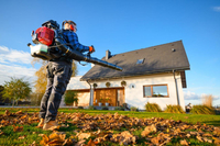 CEDRUS DM05 PRO PROFESSIONAL GARDEN LEAF BLOWER VACUUM CLEANER - OFFICIAL DISTRIBUTOR - AUTHORIZED CEDRUS DEALER