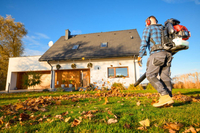 CEDRUS DM05 PRO PROFESSIONAL GARDEN LEAF BLOWER VACUUM CLEANER - OFFICIAL DISTRIBUTOR - AUTHORIZED CEDRUS DEALER