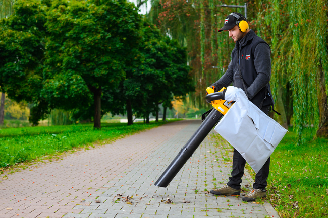 CEDRUS DM03 2w1 ODKURZACZ SPALINOWY OGRODOWY DMUCHAWA DO LIŚCI - OFICJALNY DYSTRYBUTOR - AUTORYZOWANY DEALER CEDRUS