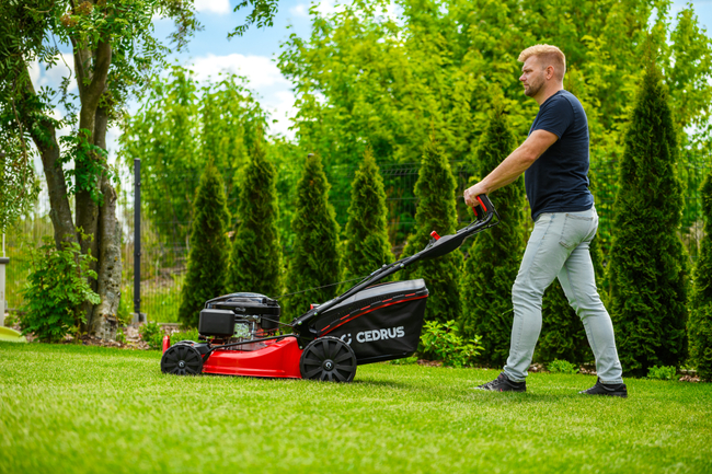 CEDRUS KS53S-L KOSIARKA SPALINOWA DO TRAWY Z NAPĘDEM LONCIN LC1P70FC 53cm / 6,5 KM - EWIMAX - OFICJALNY DYSTRYBUTOR - AUTORYZOWANY DEALER CEDRUS