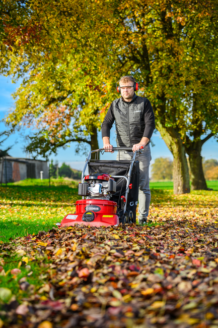 CEDRUS LV58 S PROFESSIONAL CLEANER + 4in1 SPRINEL LEAF VERTICULATOR 4in1 GARDEN DRIVE ROAD DRIVER 2in1 LV58S - OFFICIAL DISTRIBUTOR - AUTHORIZED DEALER CEDRUS