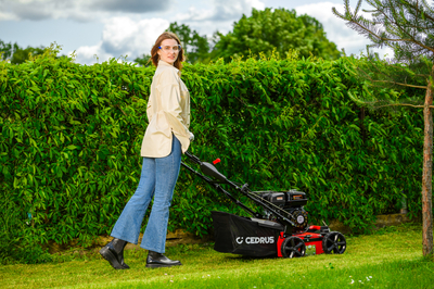 CEDRUS WR01 SPRELINER TREATER AREATOR 2-in-1 5.5 HP - EWIMAX - OFFICIAL DISTRIBUTOR - AUTHORIZED DEALER CEDRUS