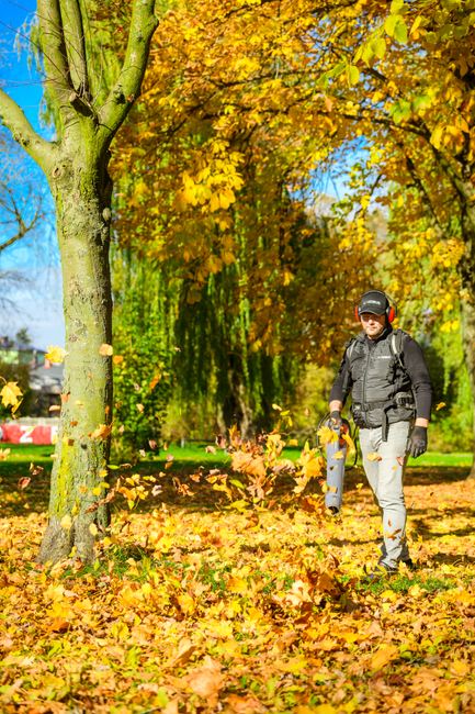 Cedrus BL210-P Cordless blower Cedrus 60V BL210-P, without battery and charger CEDBL210-P