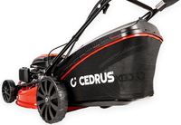 CEDRUS KS53SV-E SPRINEL DRIVE / START / ESTART lawn mower Cedrus CEDKS53SV-E - 53cm / 5,7 HP - EWIMAX - OFFICIAL DISTRIBUTOR - AUTHORIZED DEALER CEDRUS