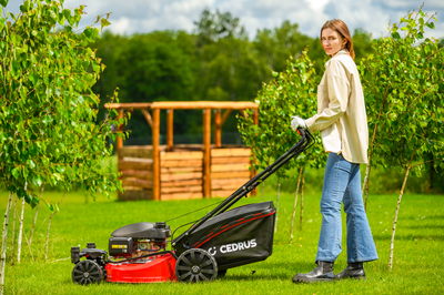 CEDRUS KS51S-H-ZT HONDA 5in1 SPRINEL MOWER WITH DRIVE 51cm / 4.6 HP HONDA GCV170 - EWIMAX - OFFICIAL DISTRIBUTOR - AUTHORIZED DEALER CEDRUS