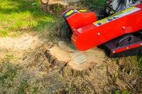 CEDRUS FR01 KOŘENOVÝ SAZEČ 15 KM - EWIMAX - OFICIÁLNÍ DISTRIBUTOR - AUTORIZOVANÝ PRODEJCE CEDRUSU