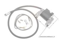 B&S 7-17HP lower-valve ignition module ; CTH160 ORIGINAL PART 398811