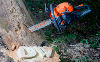 DAEWOO DACS 4500 PETROL CHAINSAW POWER 2,58KM - OFFICIAL DISTRIBUTOR - AUTHORIZED DAEWOO DEALER